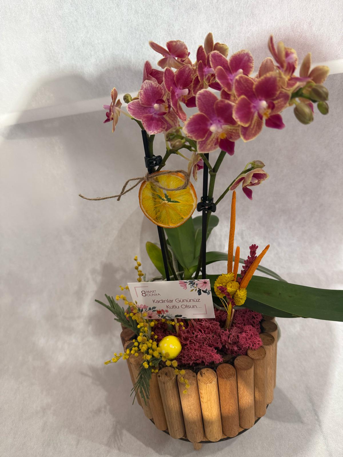 kadinlar-gunu-butik-orkide