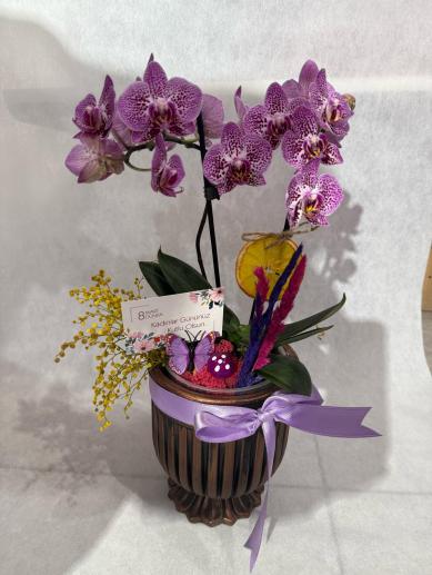 kadinlar-gunu-butik-orkide