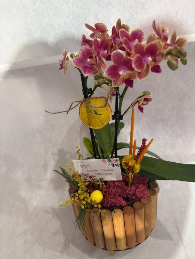 kadinlar-gunu-butik-orkide