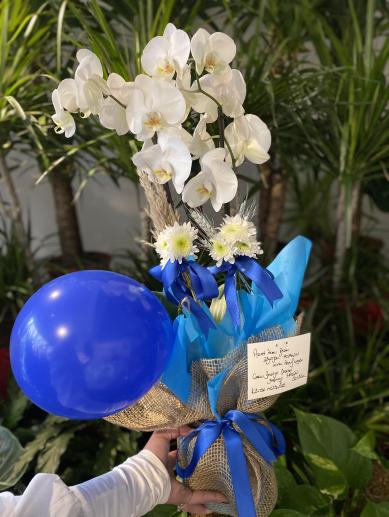 bebek-hediyesi-orkide